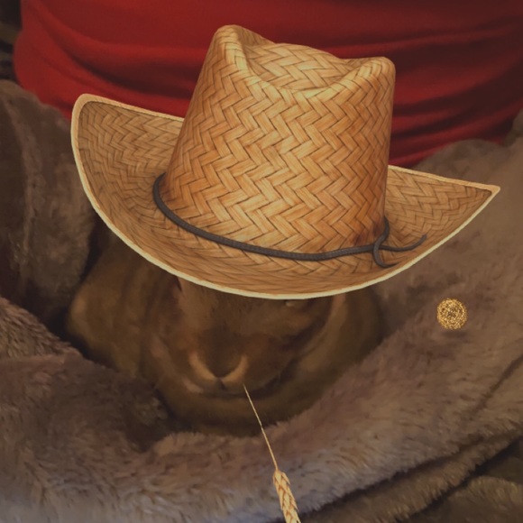 Meet your Posher, Kenneth - Picture 1 of 1